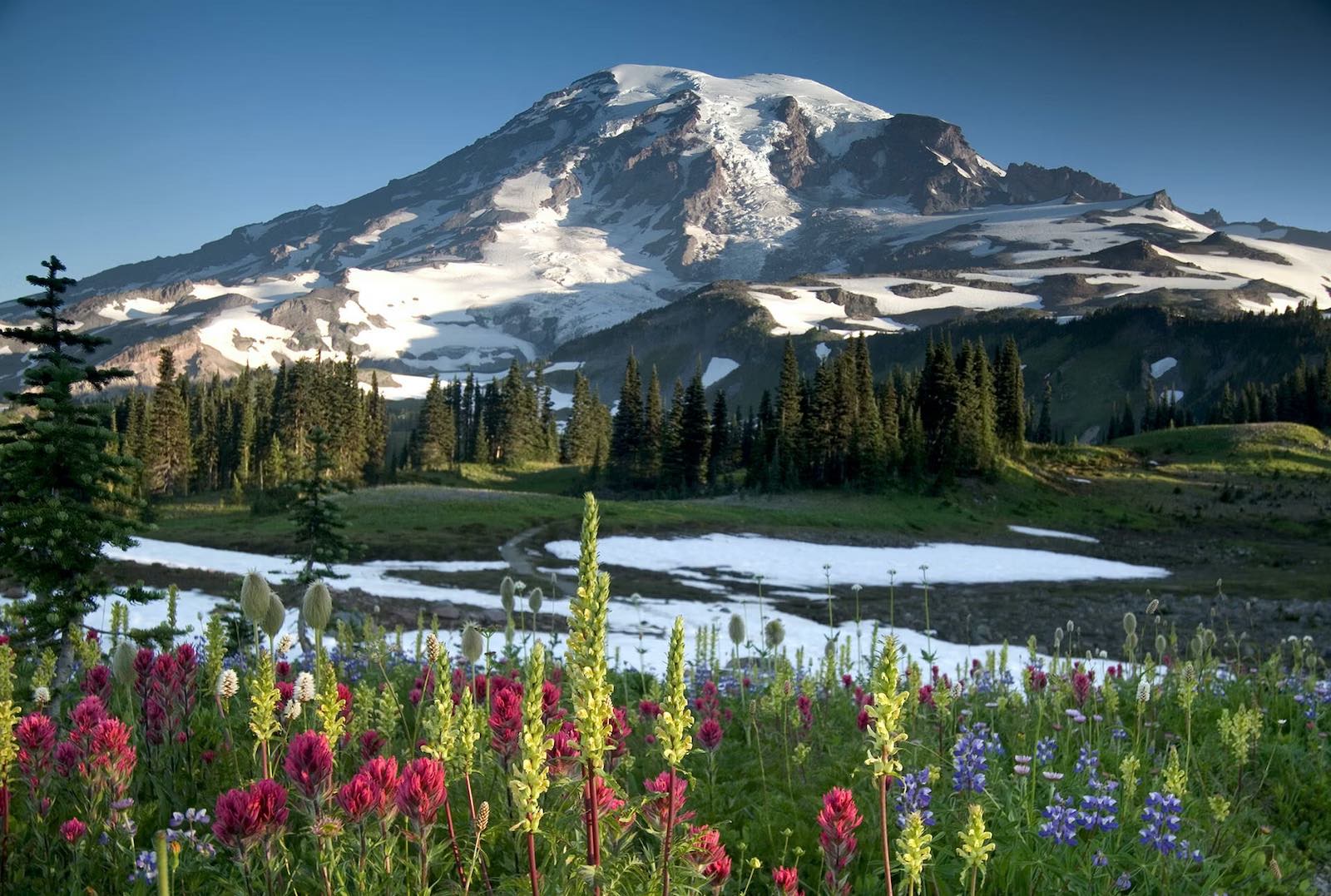 Mount Tahoma