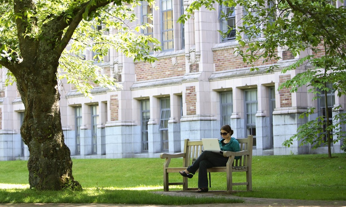 Student sitting on bench outside working on laptop under a tree